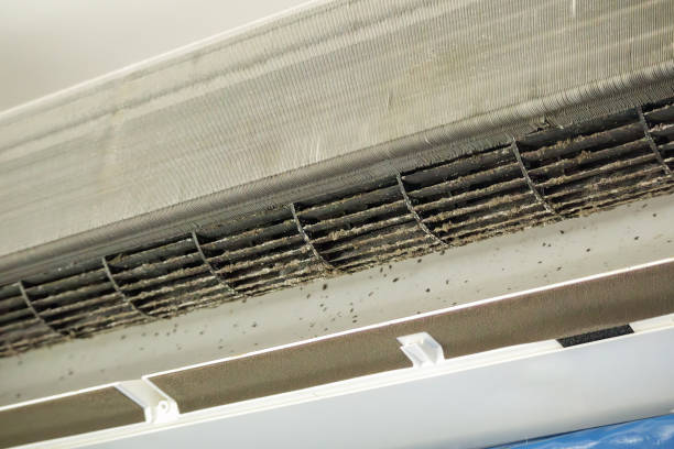 Best Ventilation Cleaning Services  in Richlands, NC